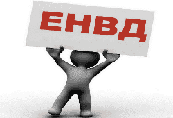 Определение торговой площади при ЕНВД в 2018-2019 годах