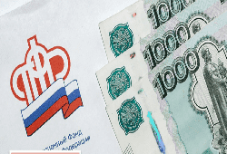 Разработаны правила уплаты добровольных взносов в ПФР самозанятыми