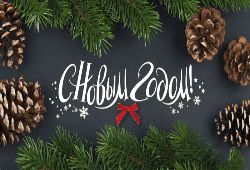 Поздравляем с Новым 2019 годом! 