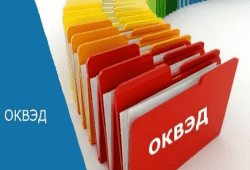 Коды ОКВЭД с расшифровкой (ОКВЭД 2) 