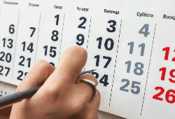Календарь для бухгалтера со сроками сдачи отчетности на 2019 год