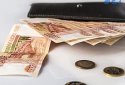 ФНС принимает заявки от компаний и ИП на выплату зарплаты от государства